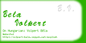 bela volpert business card